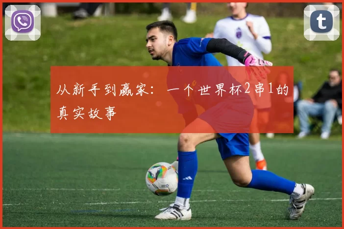 从新手到赢家：一个世界杯2串1的真实故事