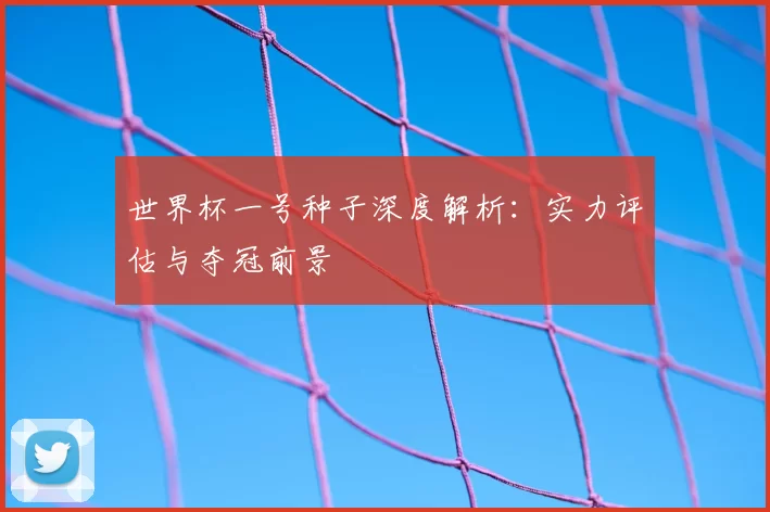 世界杯一号种子深度解析：实力评估与夺冠前景
