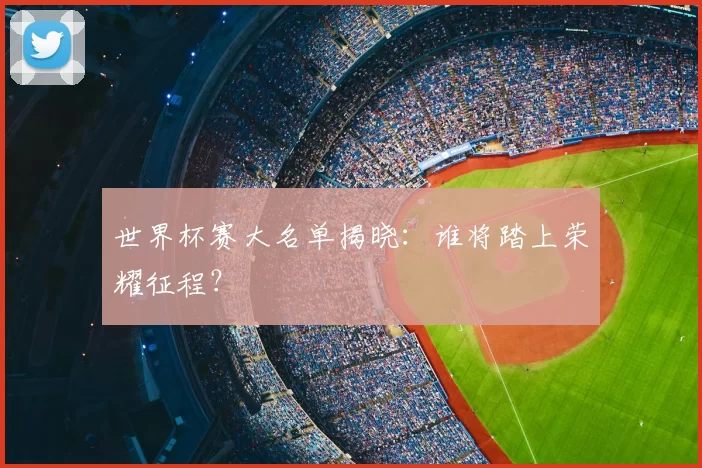 世界杯赛大名单揭晓：谁将踏上荣耀征程？
