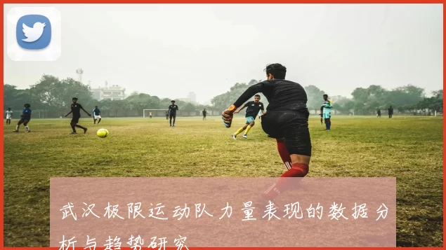 武汉极限运动队力量表现的数据分析与趋势研究