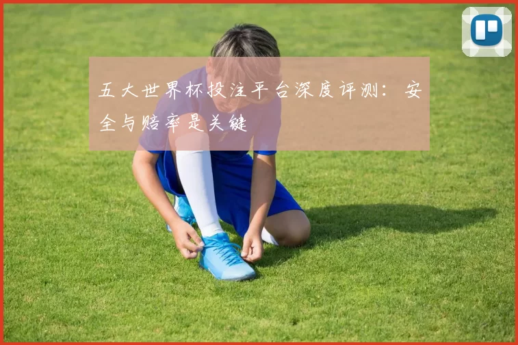 五大世界杯投注平台深度评测:安全与赔率是关键