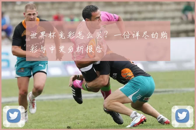 世界杯竞彩怎么买?一份详尽的购彩与中奖分析报告