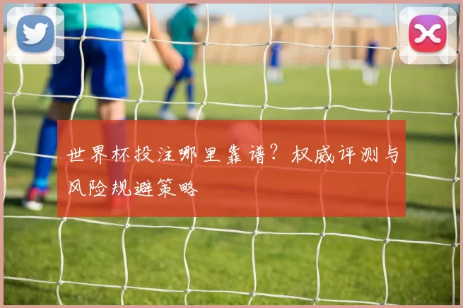 世界杯投注哪里靠谱？权威评测与风险规避策略