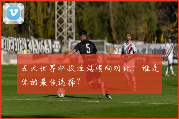 五大世界杯投注站横向对比：谁是你的最佳选择？