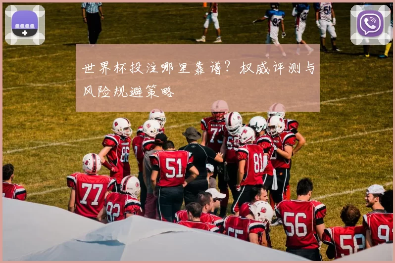 世界杯投注哪里靠谱？权威评测与风险规避策略
