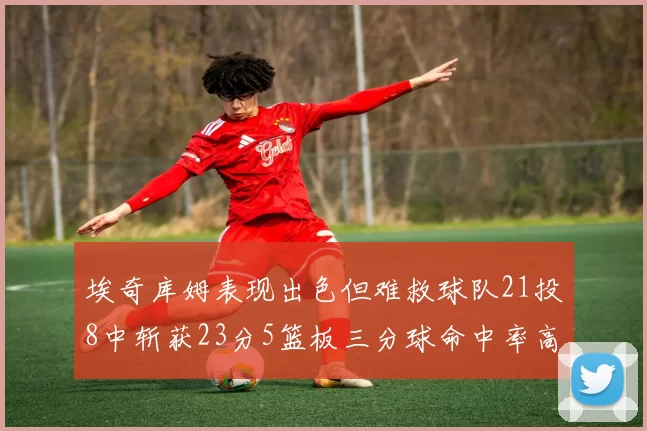 埃奇库姆表现出色但难救球队21投8中斩获23分5篮板三分球命中率高达45