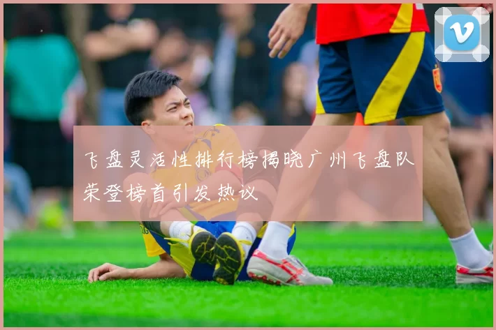 飞盘灵活性排行榜揭晓广州飞盘队荣登榜首引发热议