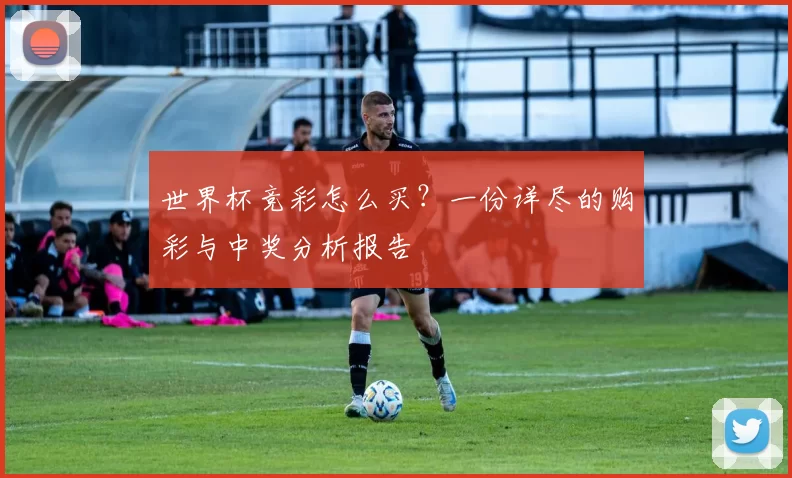 世界杯竞彩怎么买？一份详尽的购彩与中奖分析报告