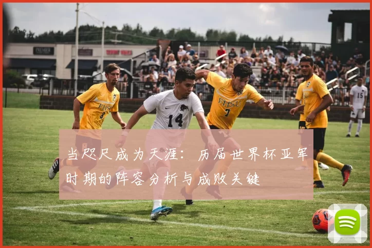 当咫尺成为天涯:历届世界杯亚军时期的阵容分析与成败关键