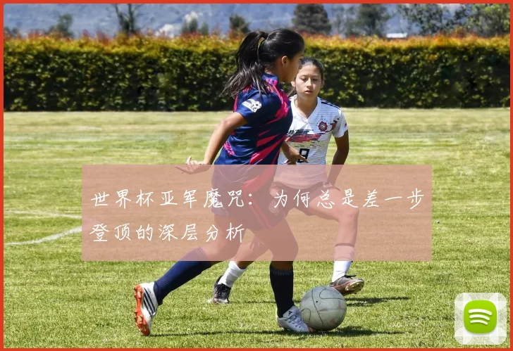 世界杯亚军魔咒:为何总是差一步登顶的深层分析