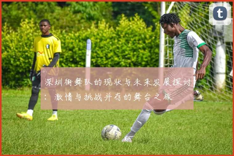深圳街舞队的现状与未来发展探讨：激情与挑战并存的舞台之旅