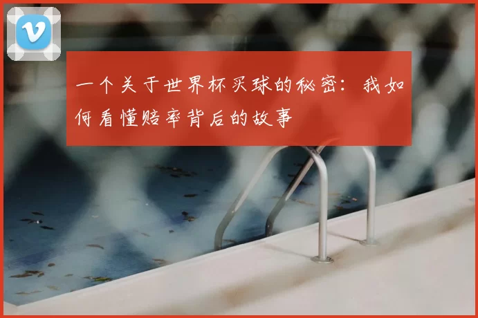 一个关于世界杯买球的秘密:我如何看懂赔率背后的故事